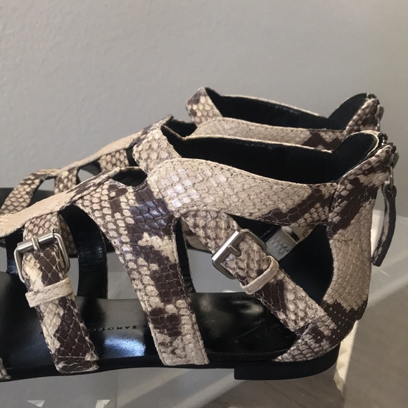Giuseppe Zanotti design Gladiator Snake Print Sandals - Picture 4 of 13